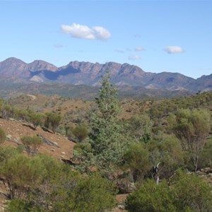 Razorback Lookout