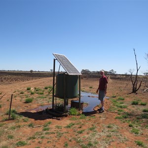 Bore bushfire aftermath