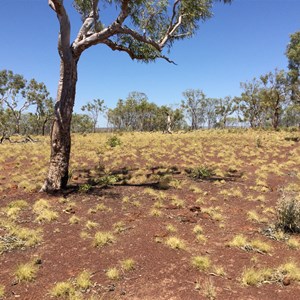 Potential Campsite on Broadarrow Track