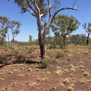 Potential Campsite on Broadarrow Track