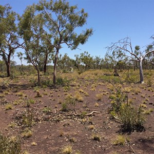 Potential Campsite on Broadarrow Track