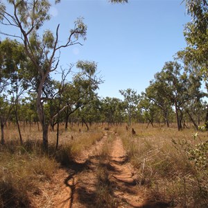 Track before creek