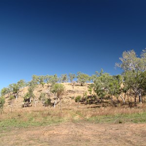 Track leaving creek