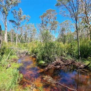 Burralow Creek campground