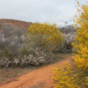 Banks Rock