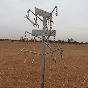 Another one's sprouted