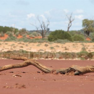 Lake Ballard