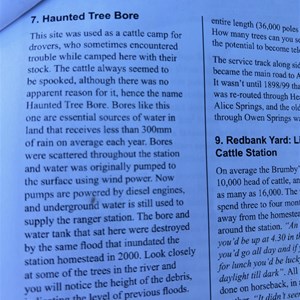 Haunted Tree Bore