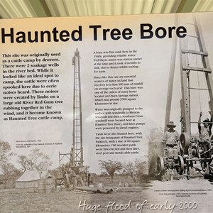 Haunted Tree Bore