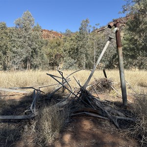 Haunted Tree Bore