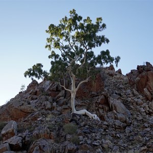 Birthday Waterhole 4WD Camp