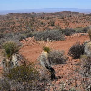 Mount Caernarvon September 2019