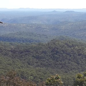 Kenniff Lookout track viewing point