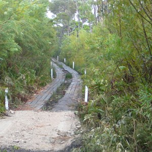 Tracks near Lake Jasper