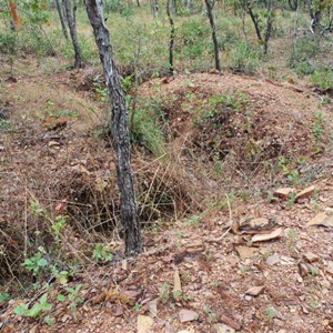 Slit Trench