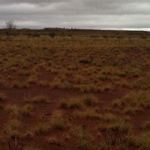 Woolnough Hills