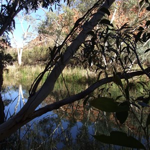 Kangaroo Pool