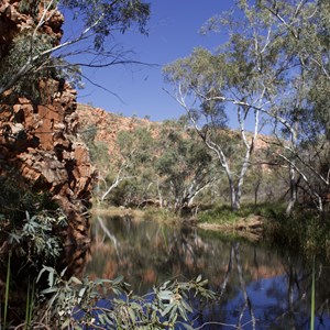 Kangaroo Pool