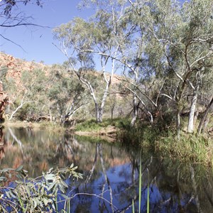 Kangaroo Pool