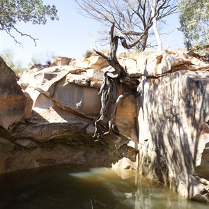 Christmas Pool