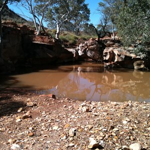 Christmas Pool