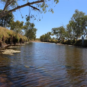 No. 11 Pool