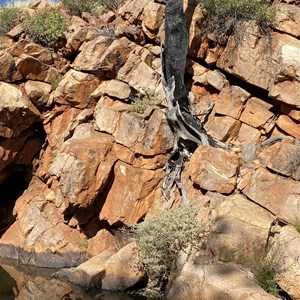 Curran Curran Water Hole.  The tree hanging on in Mick's photo from 2013 maybe got hit by lightening