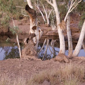 Tjingkulatjatjarra Pool