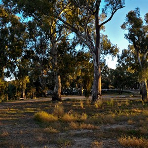 Carrathool Campsite