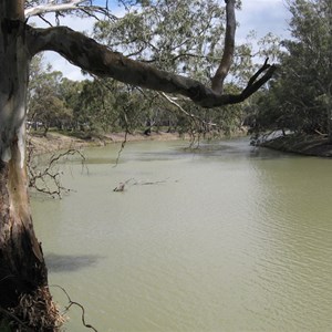 Yanga Woolshed