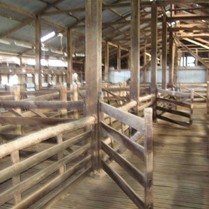 Yanga Woolshed