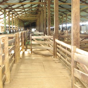 Yanga Woolshed