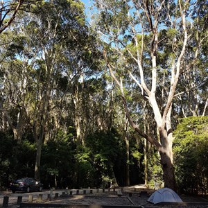 Pebbly Beach Campground