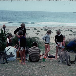 Pebbly Beach Campground