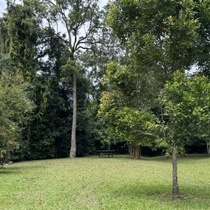 Tully Gorge campground
