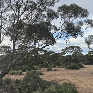 Jillah Rockhole Rest Area