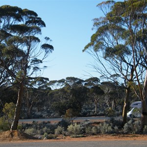 Bulldania Rocks , Eyre Highway WA