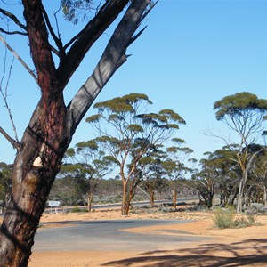 Bullldania Rocks, Eyre Hwy Wa