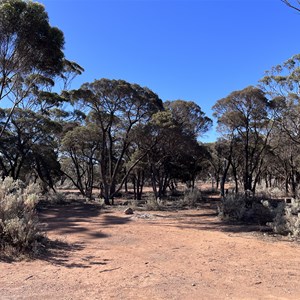 Norseman East Rest Area