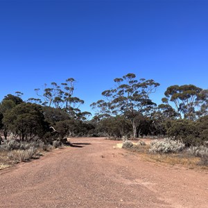 Norseman East Rest Area