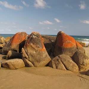 Languishing at low tide