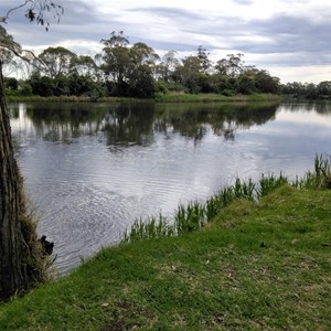 Snowy River Rest Area 7