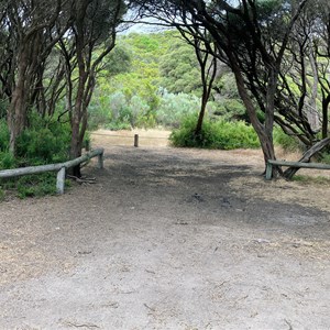 Old Man Lake Camp Area