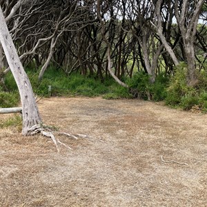 Old Man Lake Camp Area