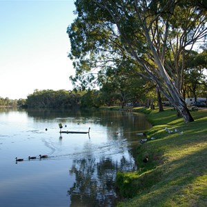 Big4 Renmark Riverfront Holiday Park