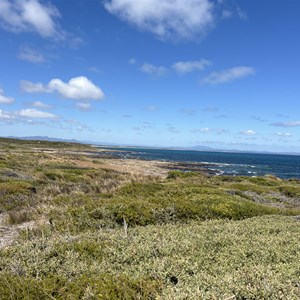 Petal Point Campground