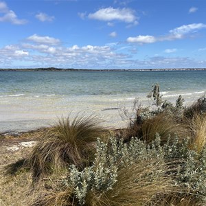 Musselroe Bay Camp Area