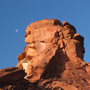 A gibbous moon