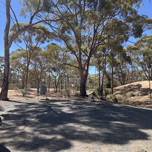 Bromus Dam Camp Area