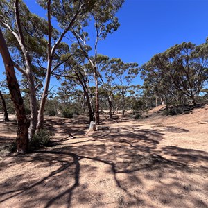 Bromus Dam Camp Area